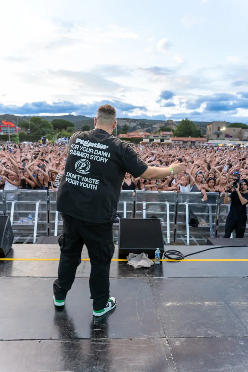 Festival scène vue arrière — photographe Perpignan