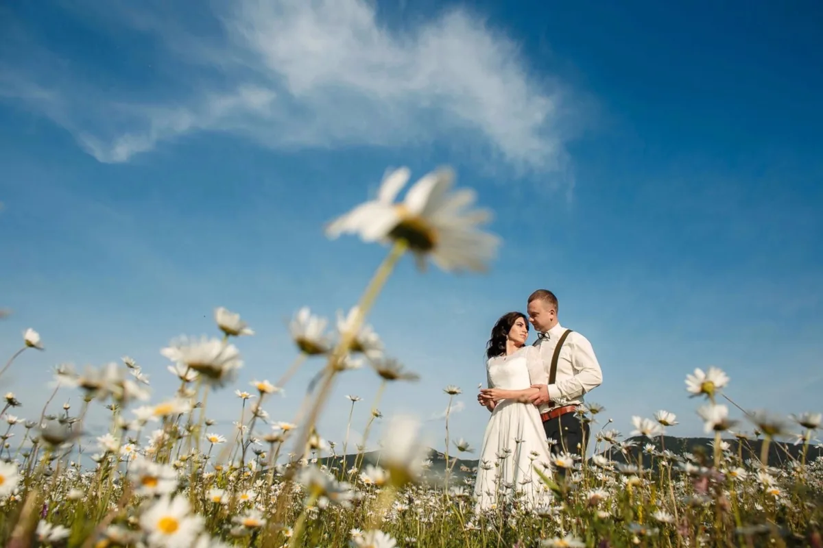 Mariage couple champ de fleurs — photographe Perpignan