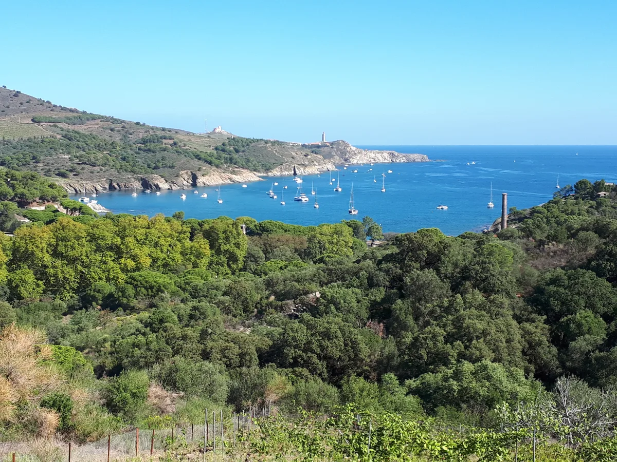Anse de Paulilles — Pyrénées-Orientales